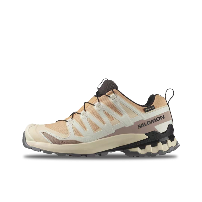 Salomon XA Pro 3D V9 GTX: Een  - Salomon Shoes Xa Pro 3D recensie en prijs