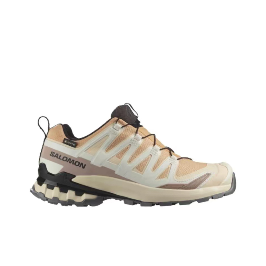 Salomon XA Pro 3D V9 GTX: Een  - Salomon Shoes Xa Pro 3D recensie en prijs