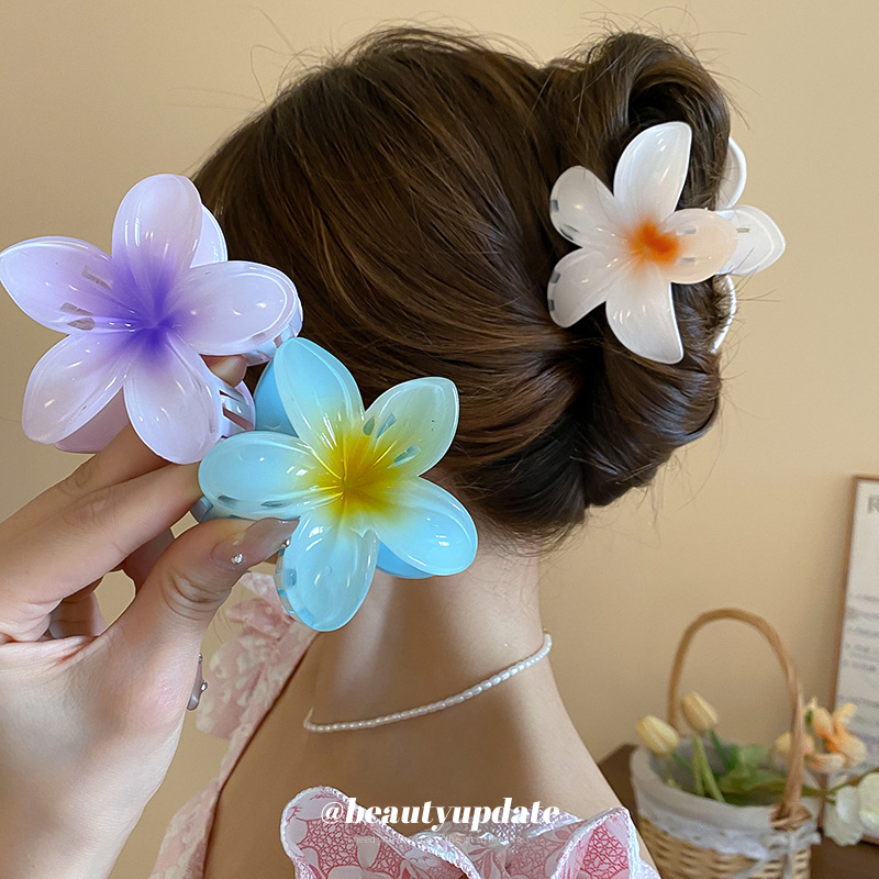 Kristal Bloem Acryl Haar Klauw - Travel Accessories Hong Kong recensie en prijs