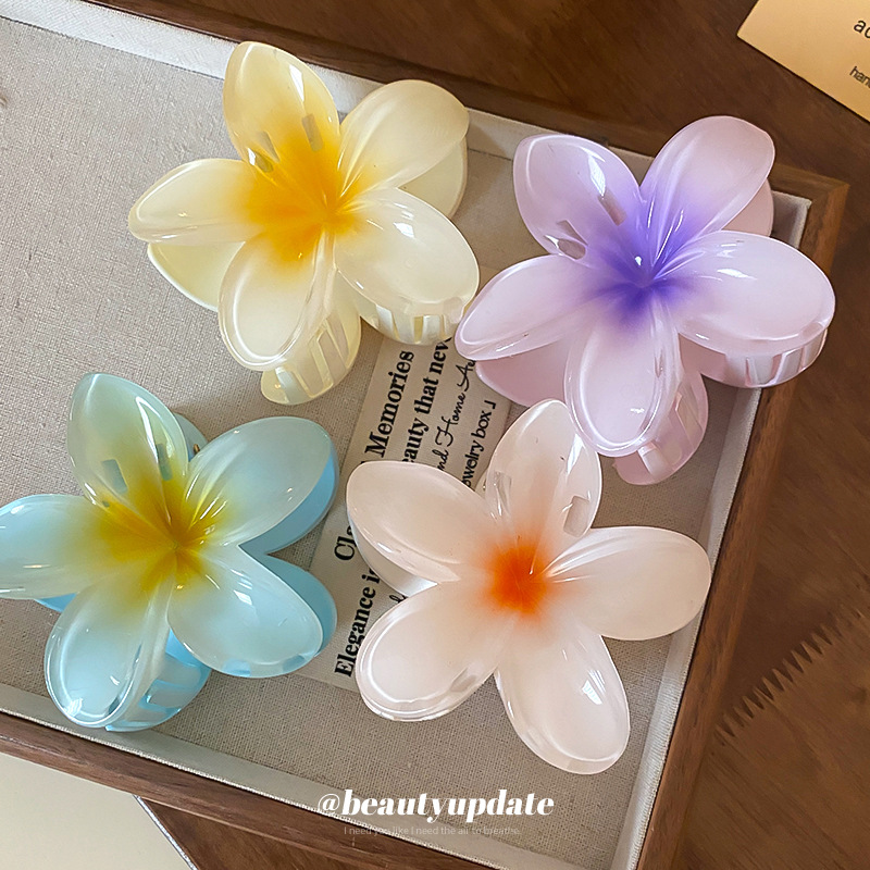 Kristal Bloem Acryl Haar Klauw - Travel Accessories Hong Kong recensie en prijs