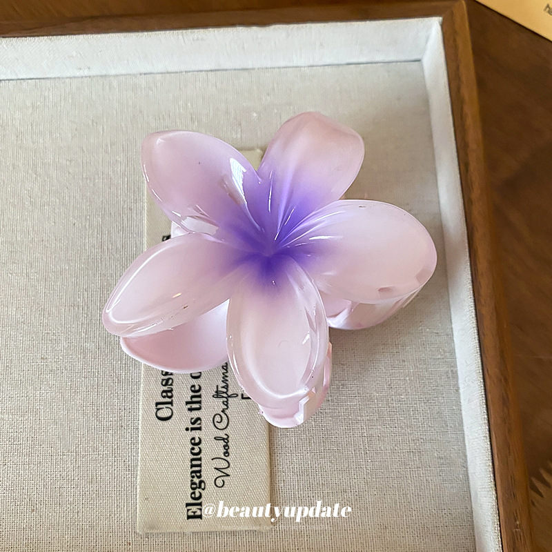 Kristal Bloem Acryl Haar Klauw - Travel Accessories Hong Kong recensie en prijs