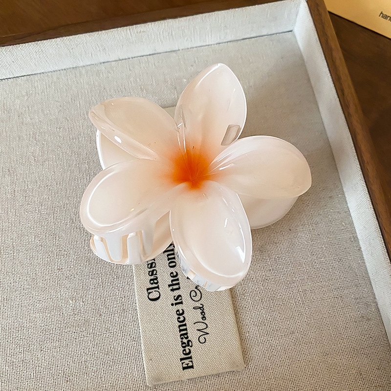 Kristal Bloem Acryl Haar Klauw - Travel Accessories Hong Kong recensie en prijs